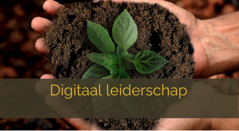 digitaal leiderschap en digitale leiders